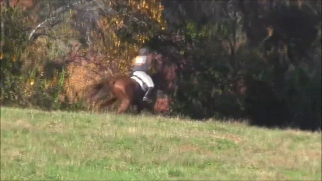 Rocky Novice Cross Country at Waredaca