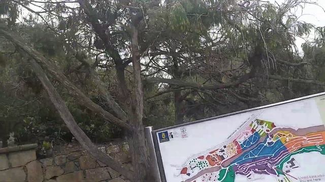 Ботанический сад Лас - Пальмас - де- Гран- Канария. (1 часть)
