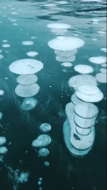 1000028995.mp4