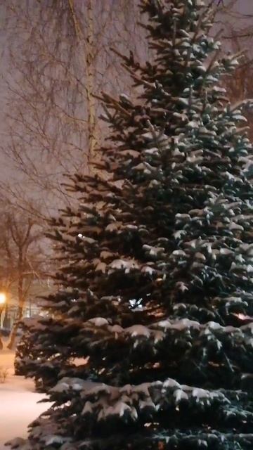 Февральский вечер. Ставрополь