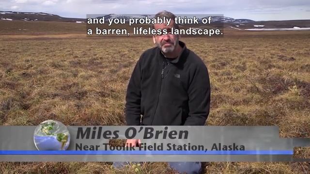 Arctic Soils Key To Future Climate (Accessible Preview)