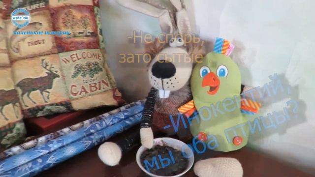 Как накормить попугая