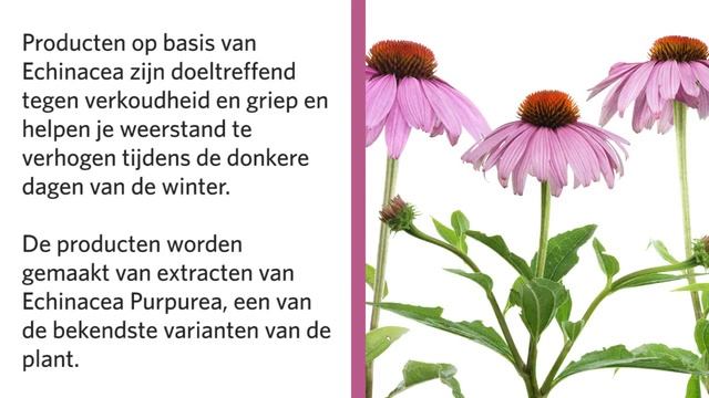 Zorg dat je klaar bent voor de winter!