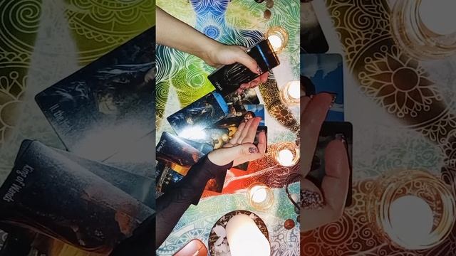 VID20250217014446
