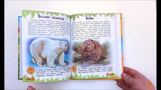 Развивающая книга малыша, энциклопедия для детей дошкольников, Большая книга знаний