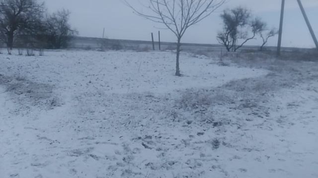 Засыпало снегом #зима#снег