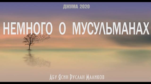Немного о мусульманах