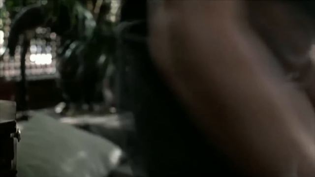 Yuen Biao And Cynthia Rothrock