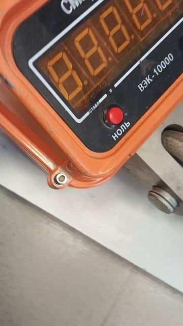 1000004156.mp4 весы