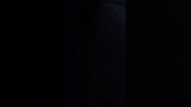 едем в соседние сило