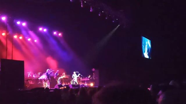 Dire Straits Experience