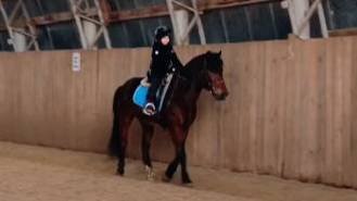 Аврелия и Аквилон, манежная езда 1.1.  #horse #equestrian #лошади #pony