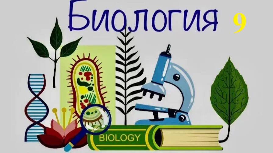 9 класс_Б_17.02 за 12.02_Беременность и роды