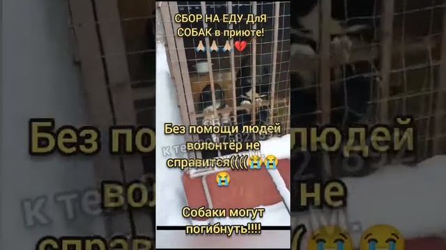 🆘❗ ГОЛОД! Это повторный пост - но помощи совсем нет... помогите ...