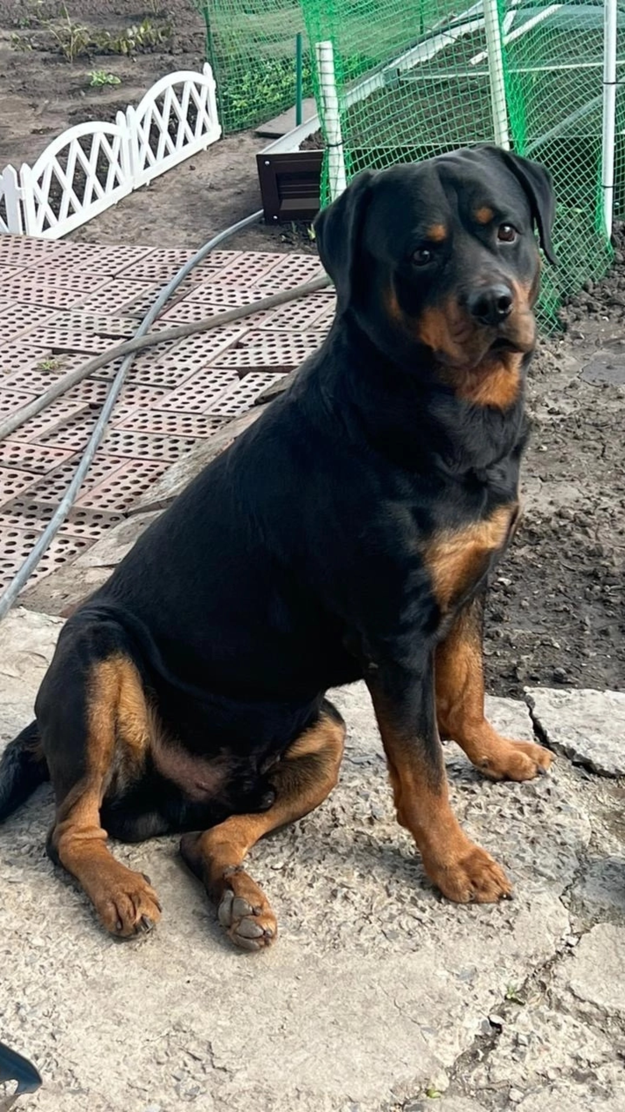 Моя бусинка❤️