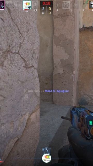 Zeus25021704