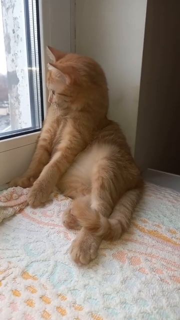 А вы готовы к понедельнику?