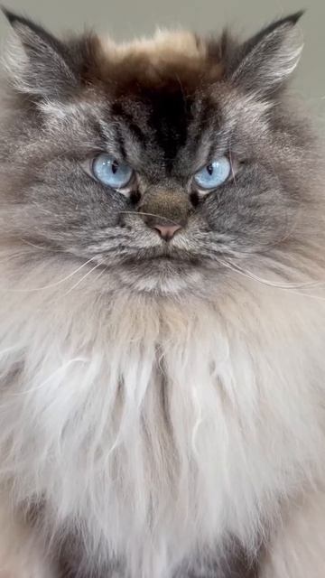 Взгляд😍
