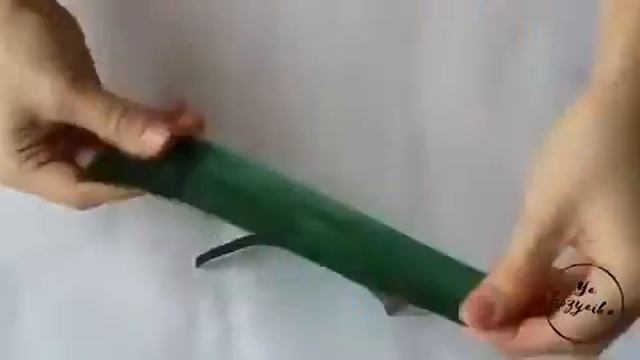 GAFRI QOG`OZDAN LOLA YASAYMIZ JUDA OSON!