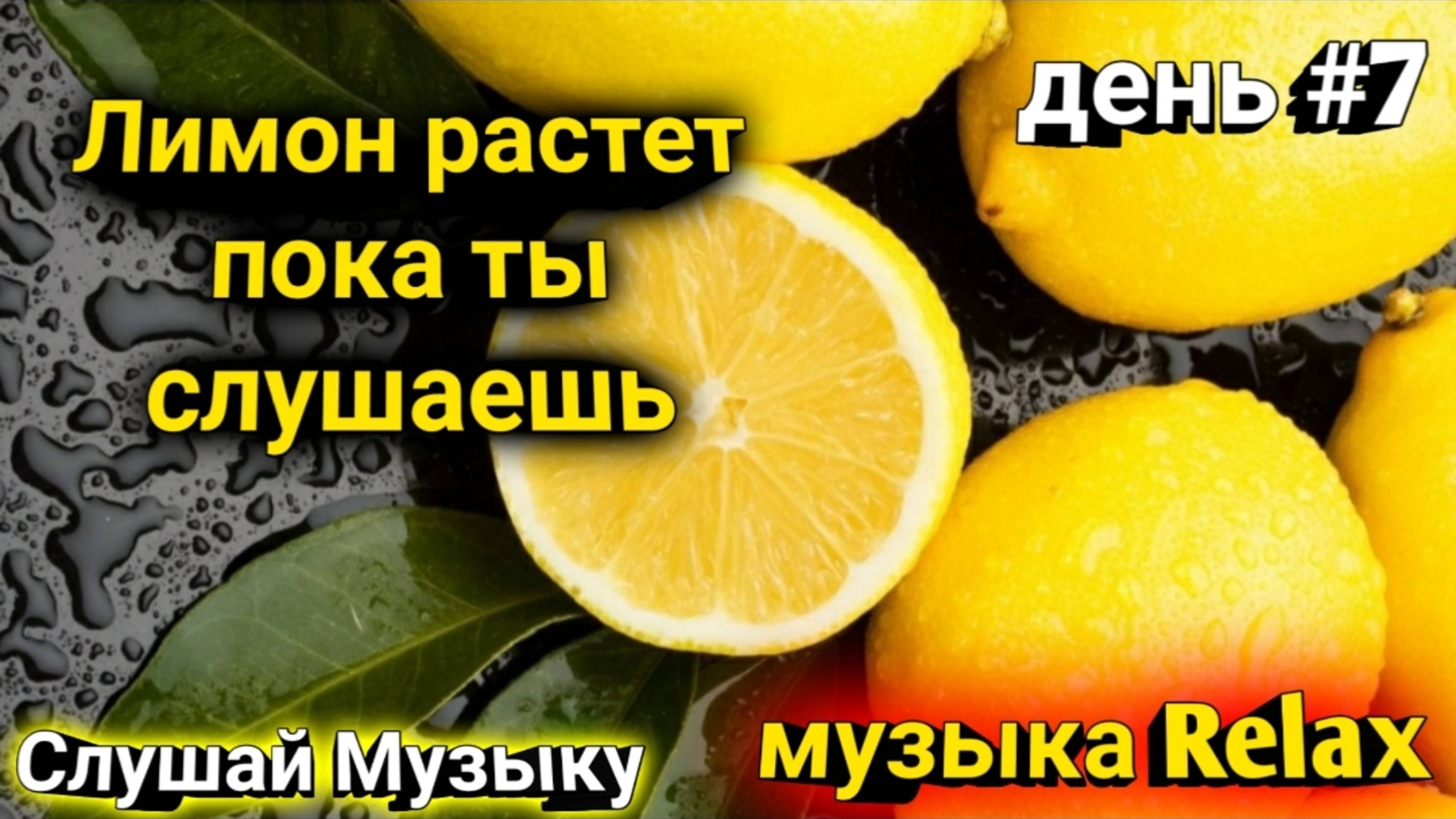 Слушаем музыку Relax с Лимоном / музыка от Лимона