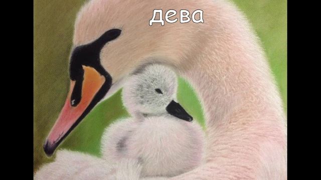 какое ты животное по зз