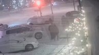 Скворцов видео