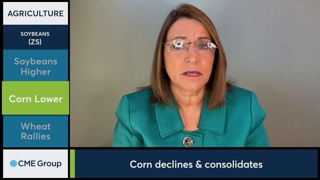 November 15 Grains Commentary: Virginia McGathey
