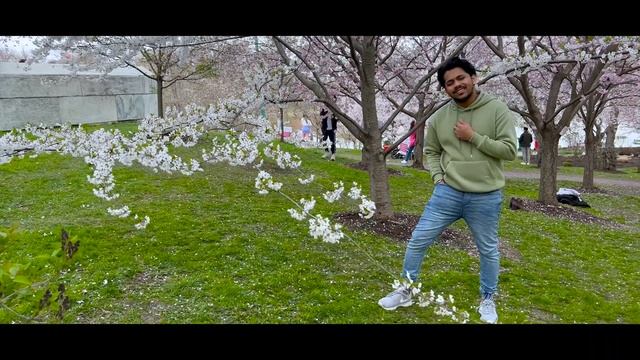 Nan Pizahi Cover | Anirudh Ravichander | Cover Song | KRK | Vijay Sethupathi | Samantha | Nayanthar
