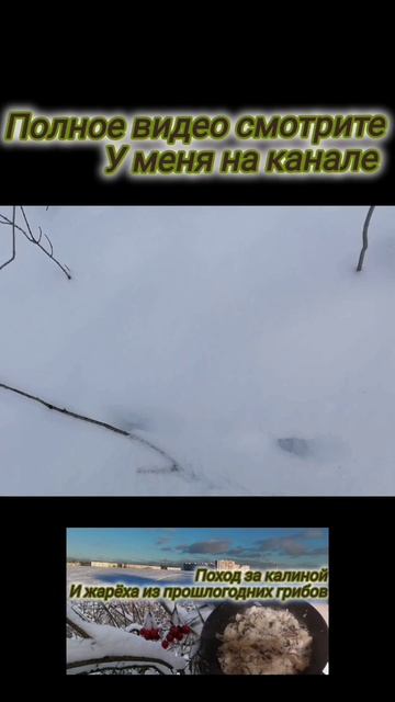 След