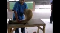 Во какаЯ