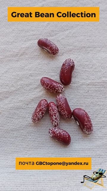 Фасоль супер крапчатая река Смит семена Smith River Super Speckled Bean Seeds