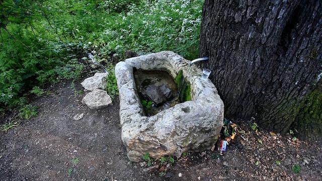 Источник в урочище Сталинская груша