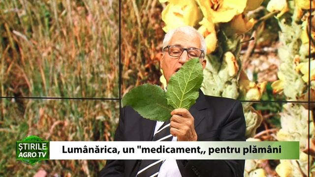 Lumanarica un medicament pentru plamani 21 12 2020