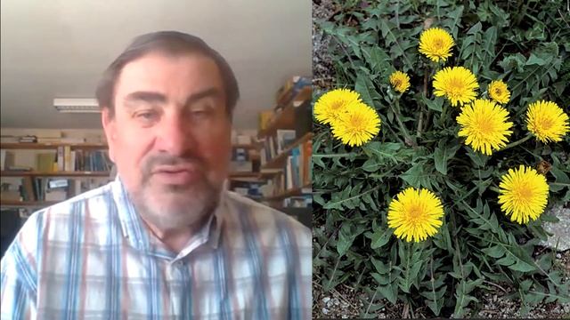 Les plantes pour la détoxification
