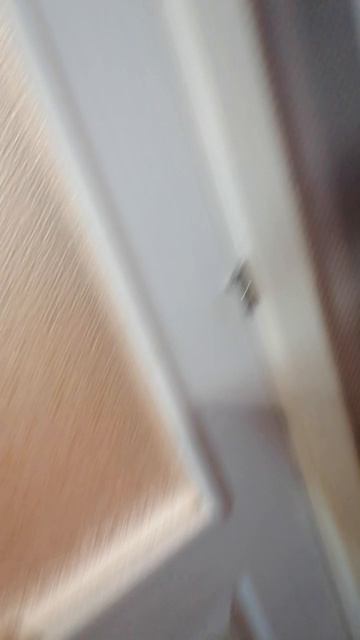 нас всё время обманывали