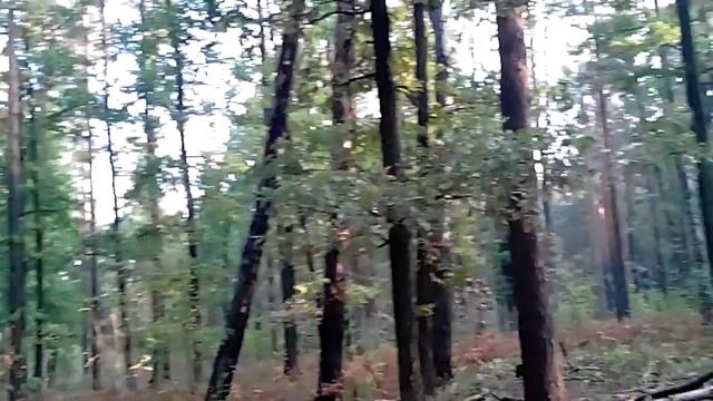 Похід вихідного дня Ірша-Малин