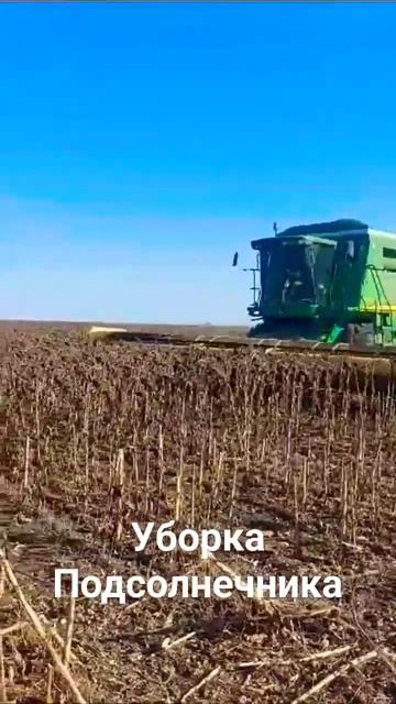 🏁Старт🏁 уборки 🌻подсолнечника🌻 в Омской области. Уборка подсолнечника 2023 💪🚜🏁