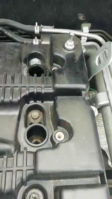 VID-20250127-WA0004