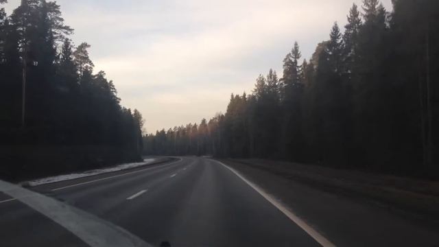 IMG 0739