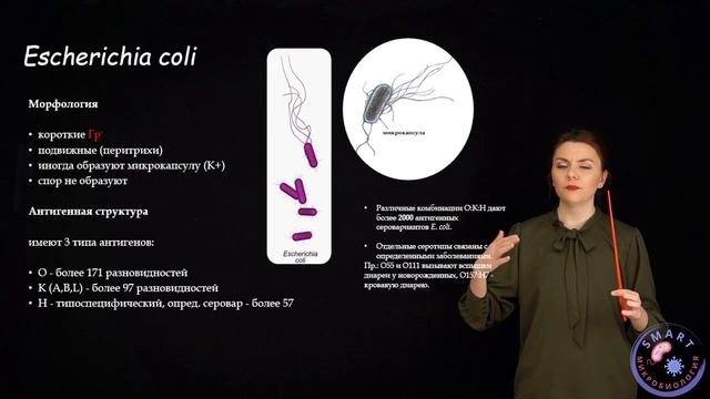 Характеристика E.coli