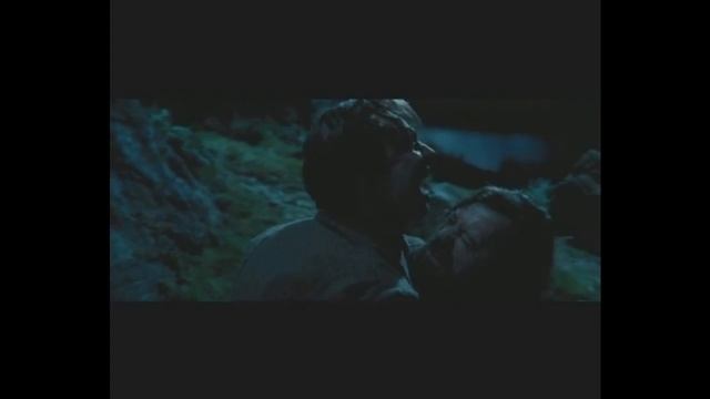 Remus Lupin Tribute (Harry Potter)
