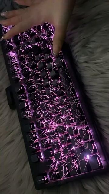 1000050925.mp4