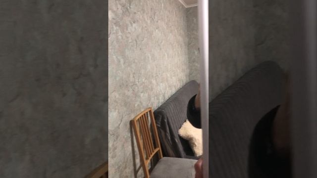 Победы 62 аренда квартиры Лазаревское