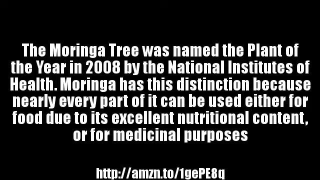 Moringa Olefera - Questions and Answers |What is Moringa Oleifera? | Is Moringa Oleifera Good For Y