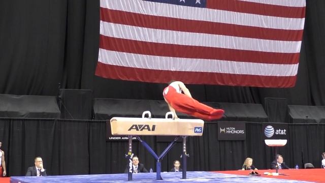 Levi Anderson - Pommel Horse - 2014 P&G Championships - Jr. Men Day 2