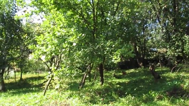 Всё было так же, как вчера...