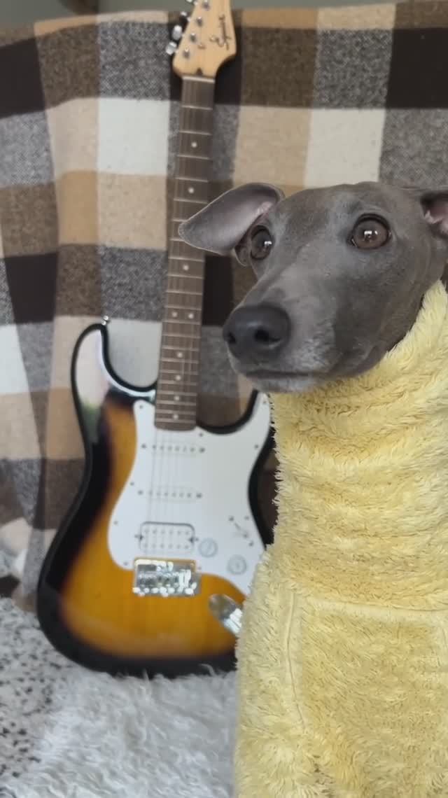 А не спеть ли мне песню...