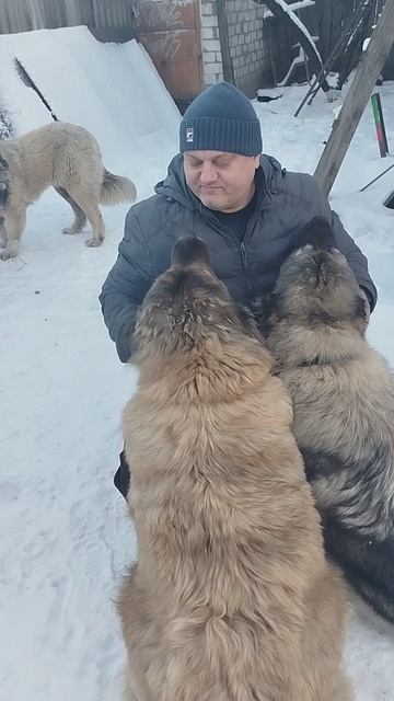 это дети