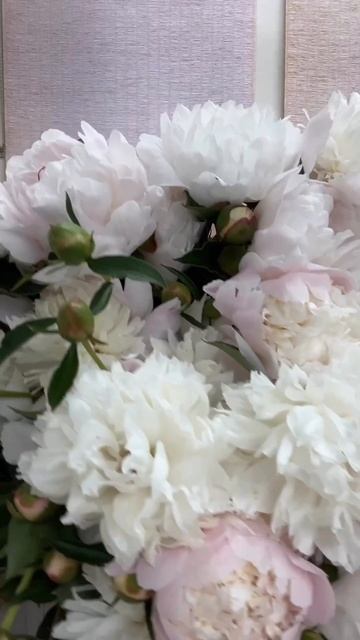 Who knows when peonies will bloom this crazy season.