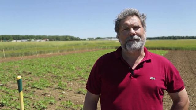 Legumes, a hotbed of innovation